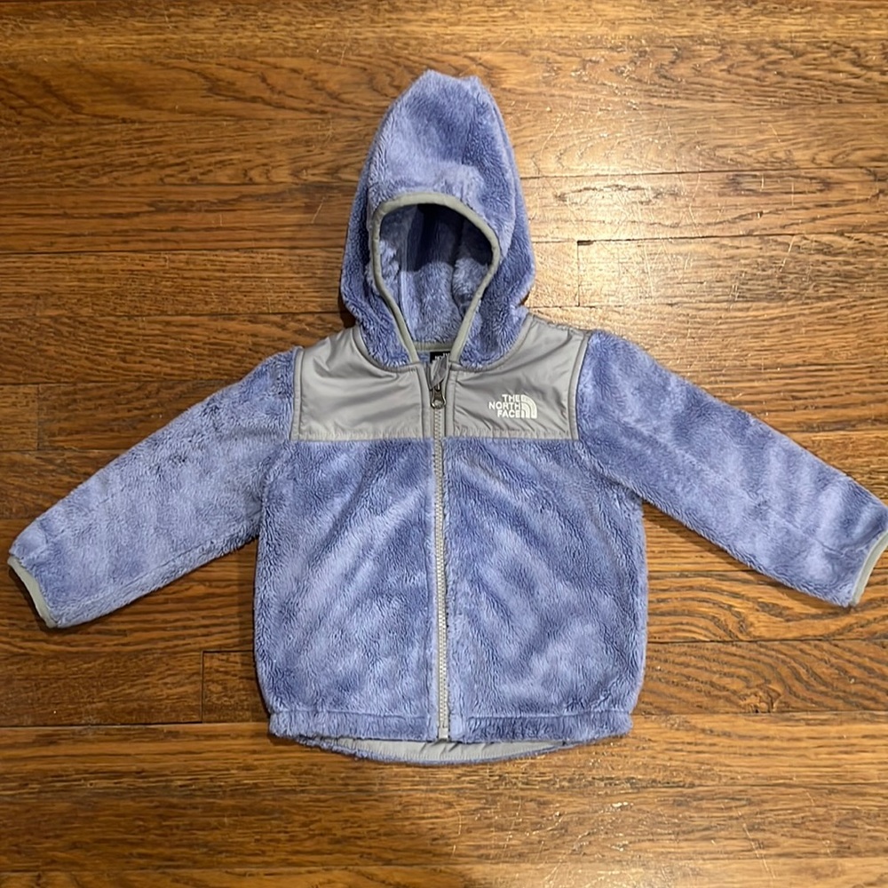 North Face Oso Zip Fleece Hoodie